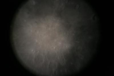 img_7322.jpg